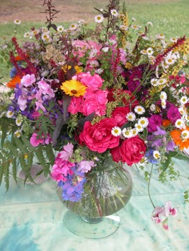 bloemen goirle verwondering bij bloemen diversiteit naturentuin goirle bloemen goirle verwondering bij bloemen diversiteit naturentuin goirle
