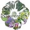 Naturentuin Goirle - Anneke Scholte