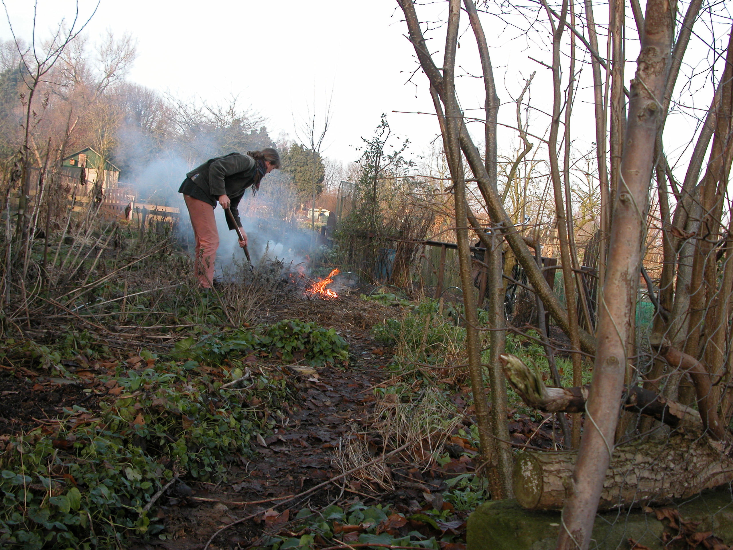 Winter: tijd voor een nieuw begin