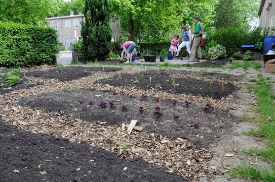 Mini-moestuin en kruiden/bloementuin