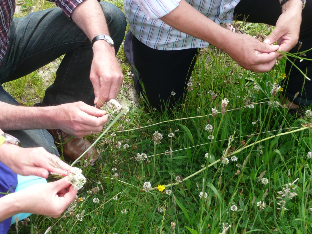 Feestelijke dag in Moerenburg