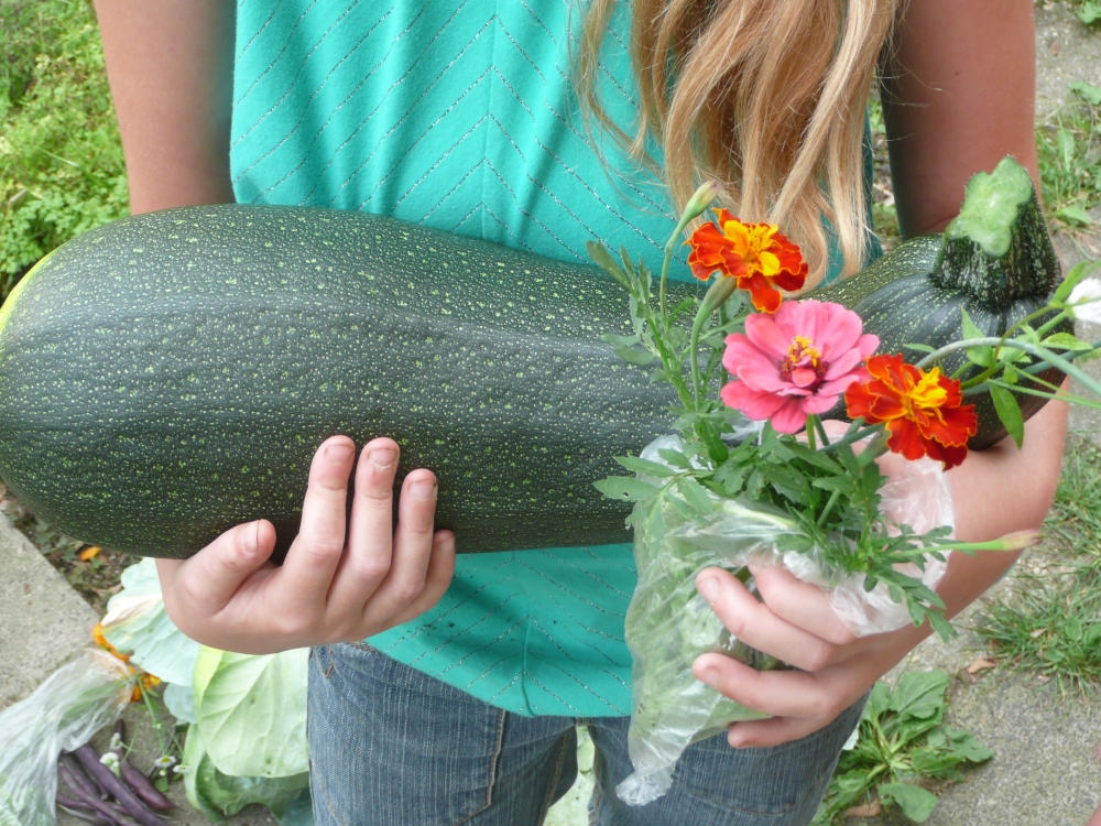 Oogsten in de kindertuin