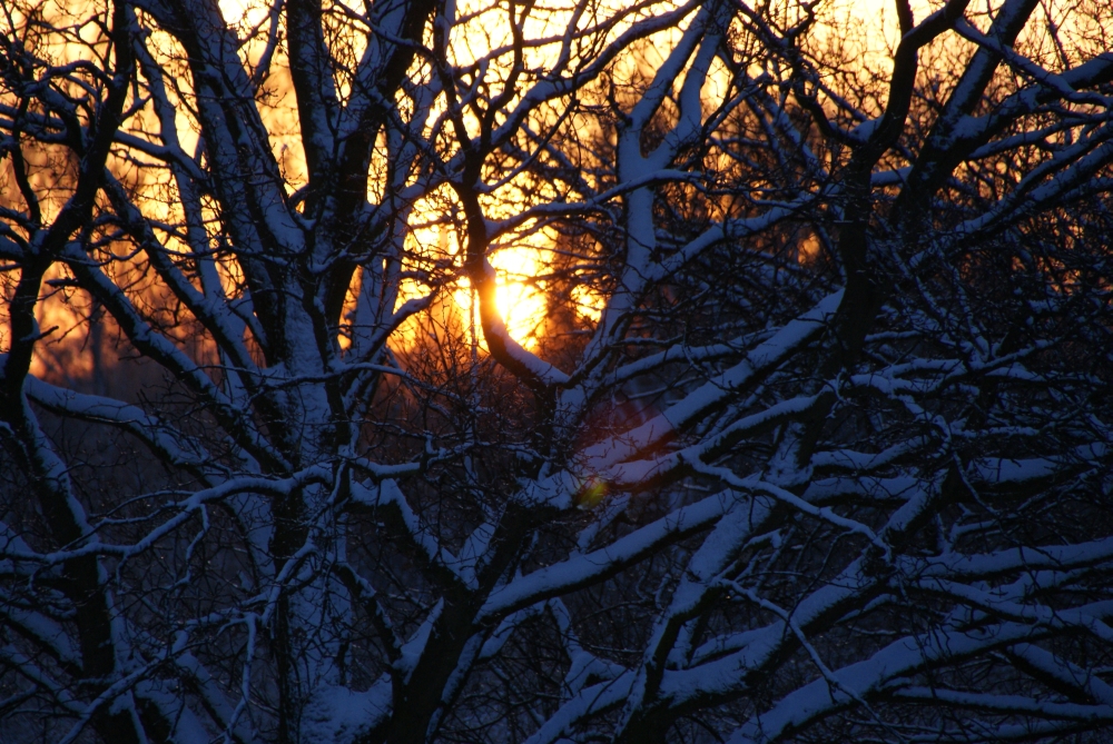 Activiteiten winter-voorjaar 2010