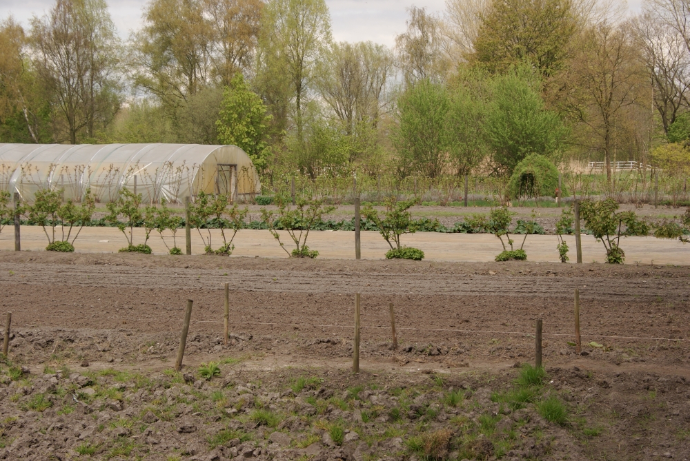 Praktijkdag Ecologisch tuinieren