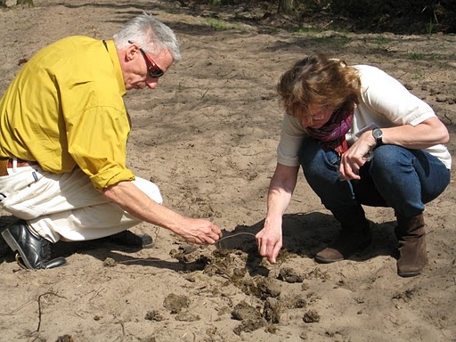 Enthousiaste verhalen uit de Loonse en Drunense duinen