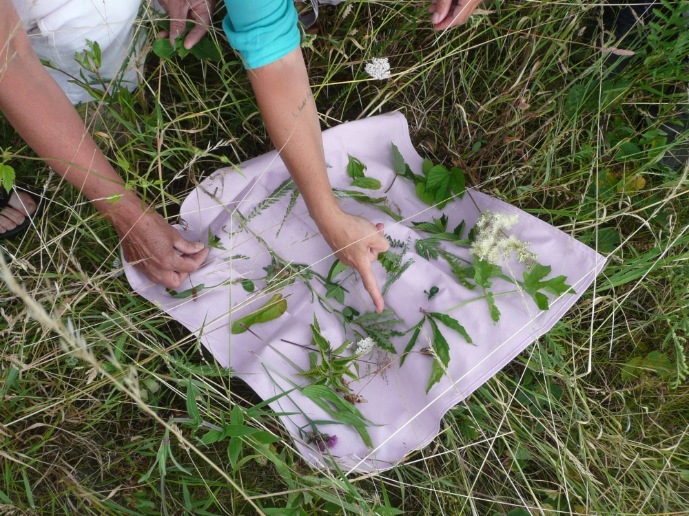 Schots en Scheef op natuurtoer