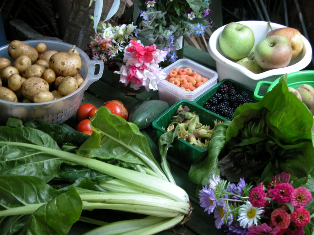 Lessen Ecologisch tuinieren voorjaar 2012