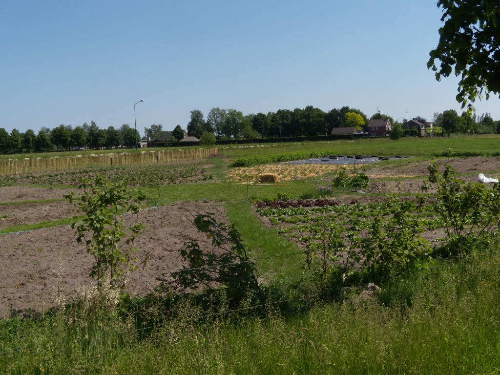 Tuinderij Op ’t Schop