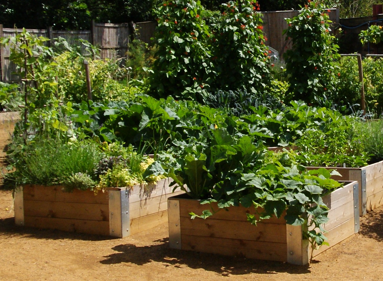 Moestuinieren voor iedereen