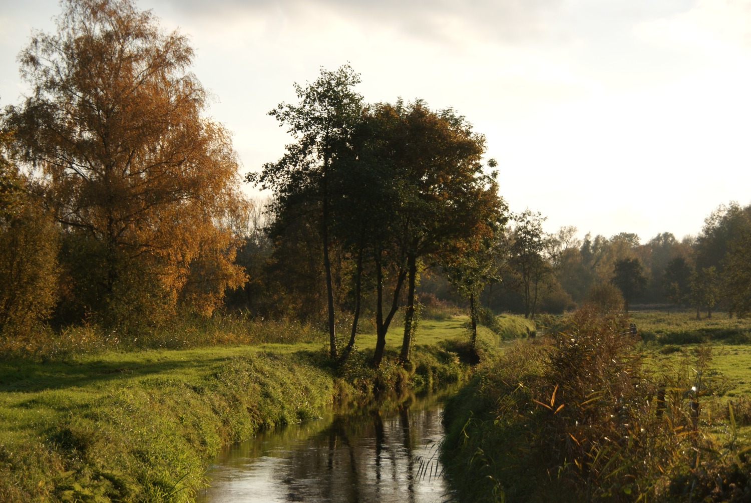 Seizoenswandelingen in Moerenburg