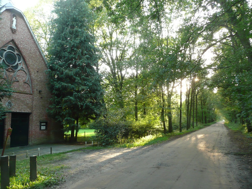 Seizoenenwandel-arrangement Nieuwkerk