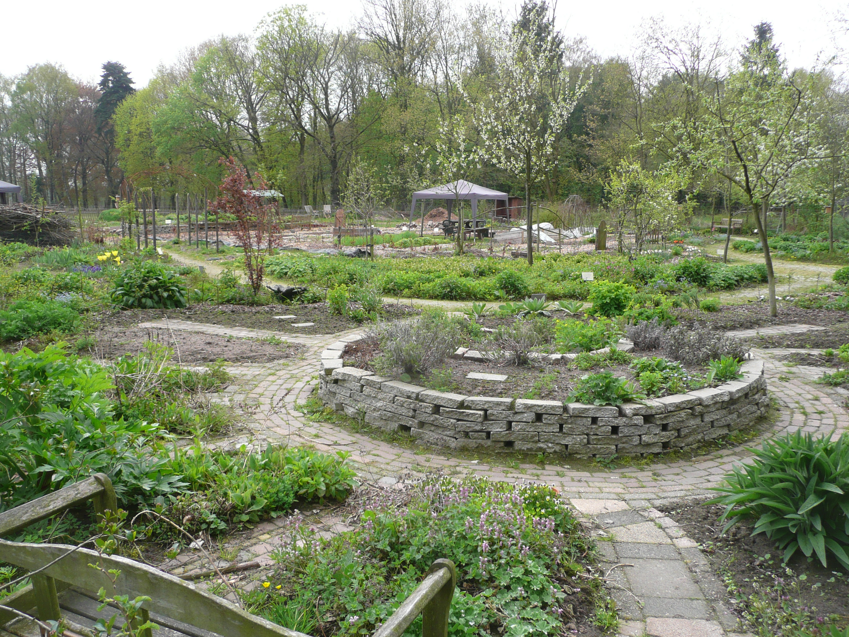 Workshop-dag ecologisch tuinieren