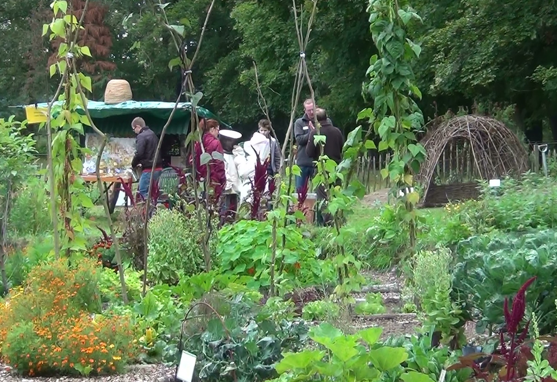 Open middagen Naturentuin 1 en 2 juni