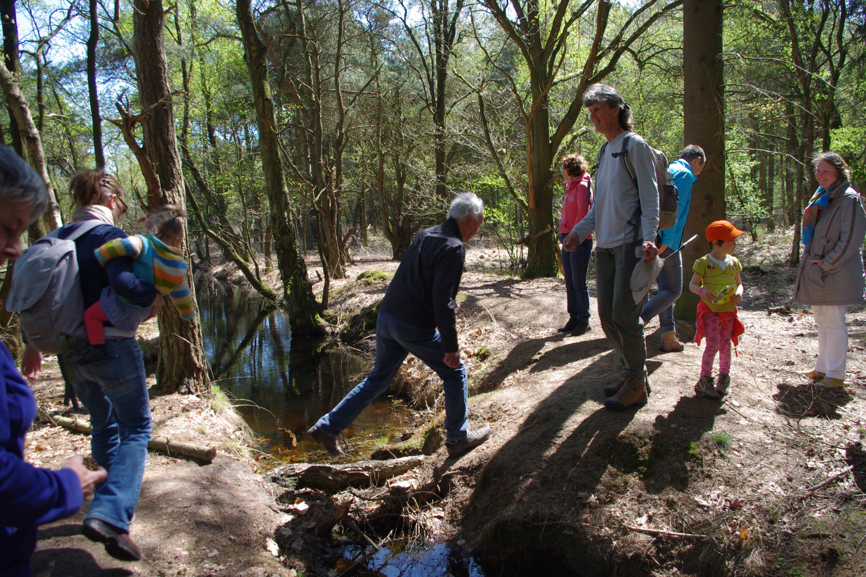 Zomerse Naturen-activiteiten