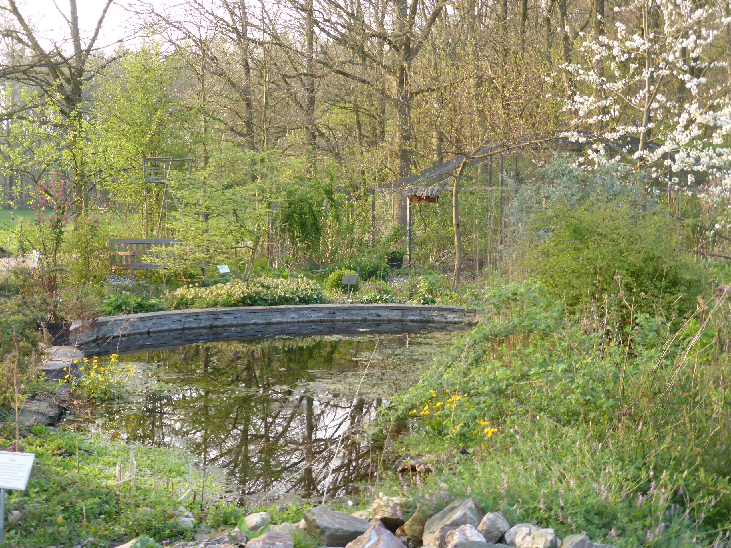 Natuurlijke voorjaarsactiviteiten