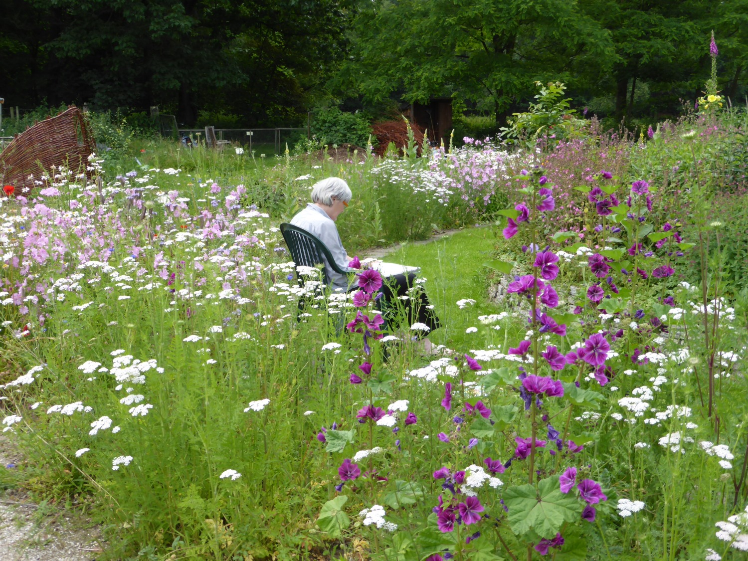 Beleven van de Naturentuin met je pen 