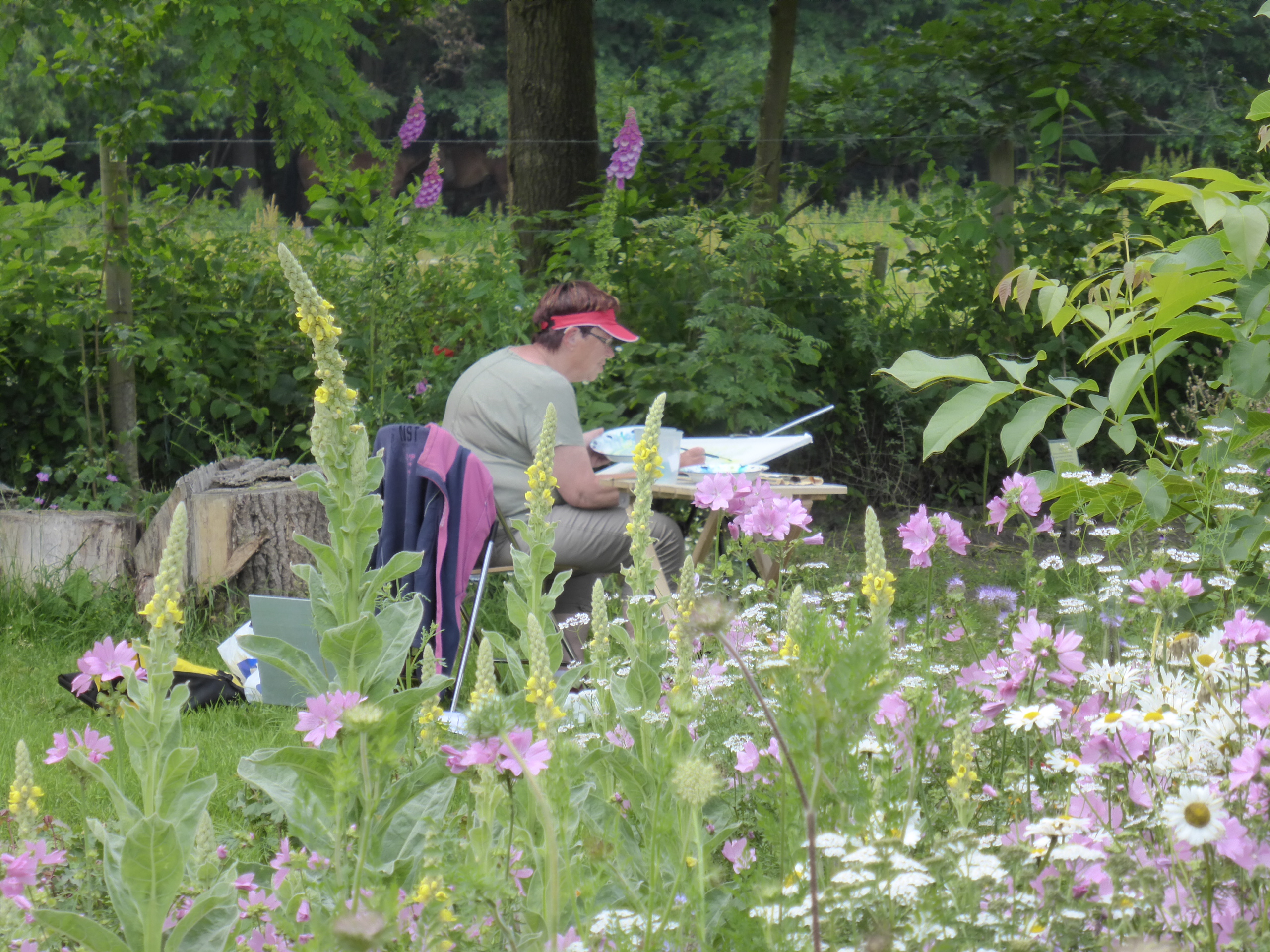 Tekenen en schilderen in de Naturentuin