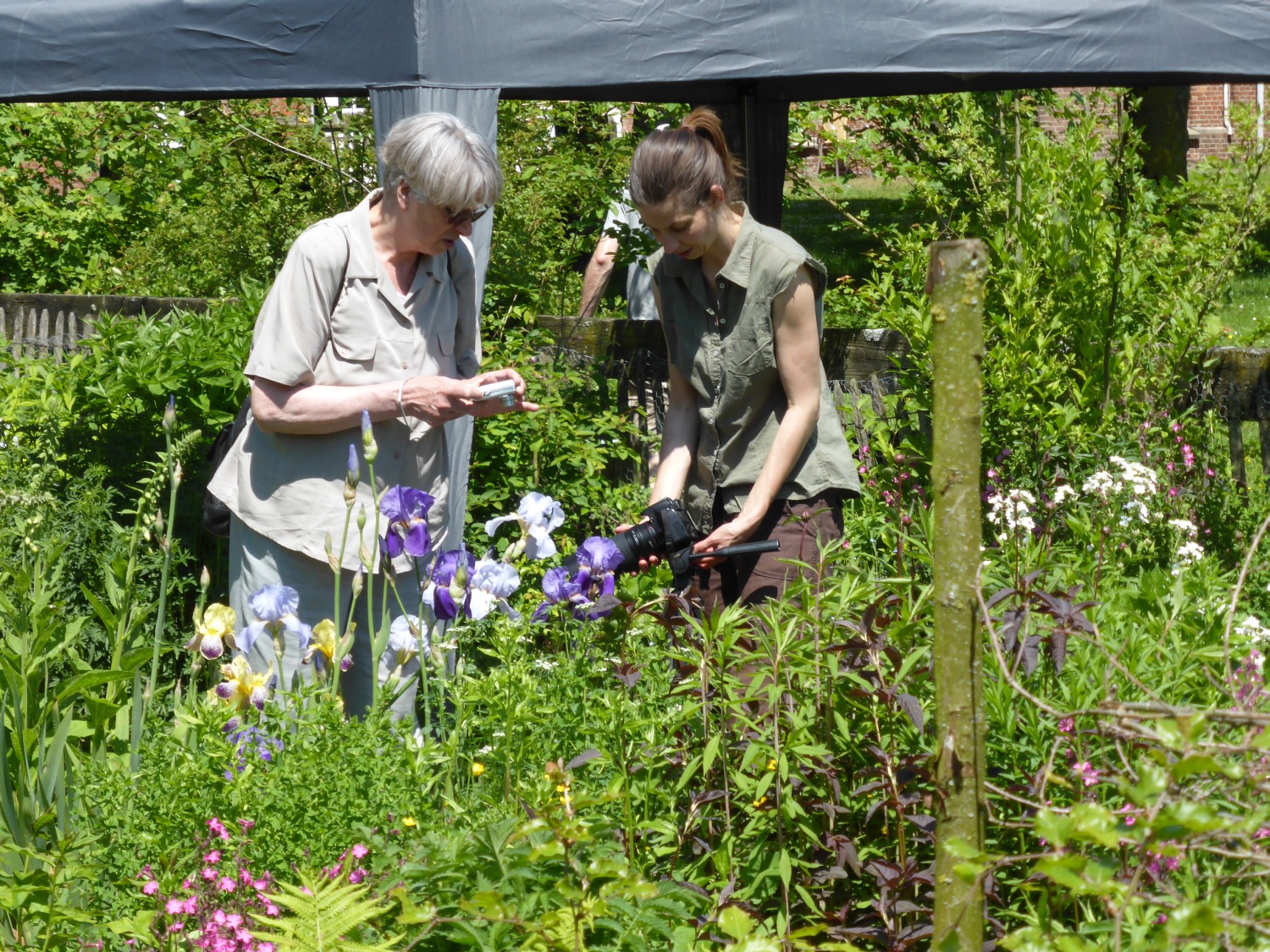 Workshop natuurfotografie