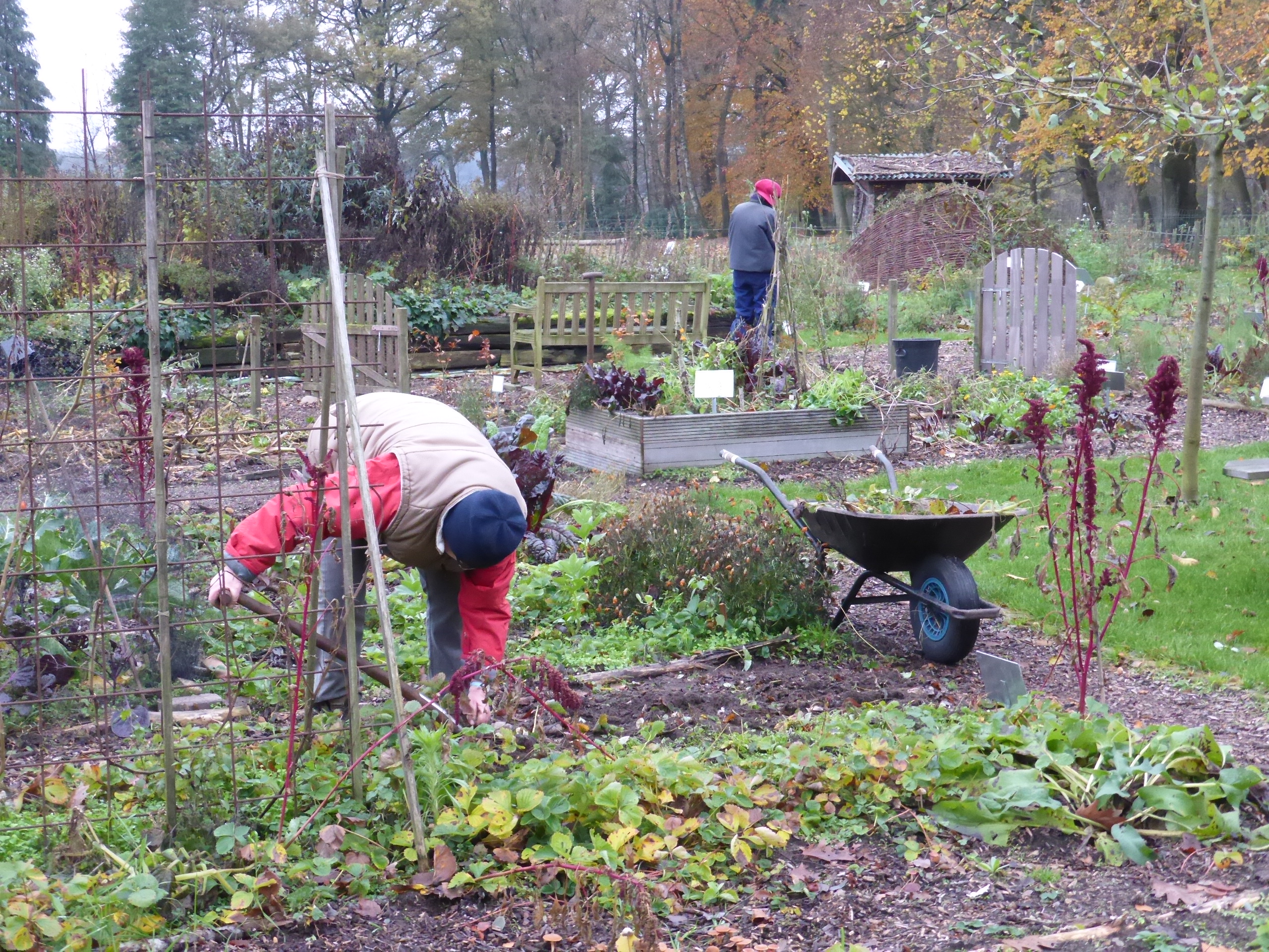 Reserve-vrijwilligers gevraagd