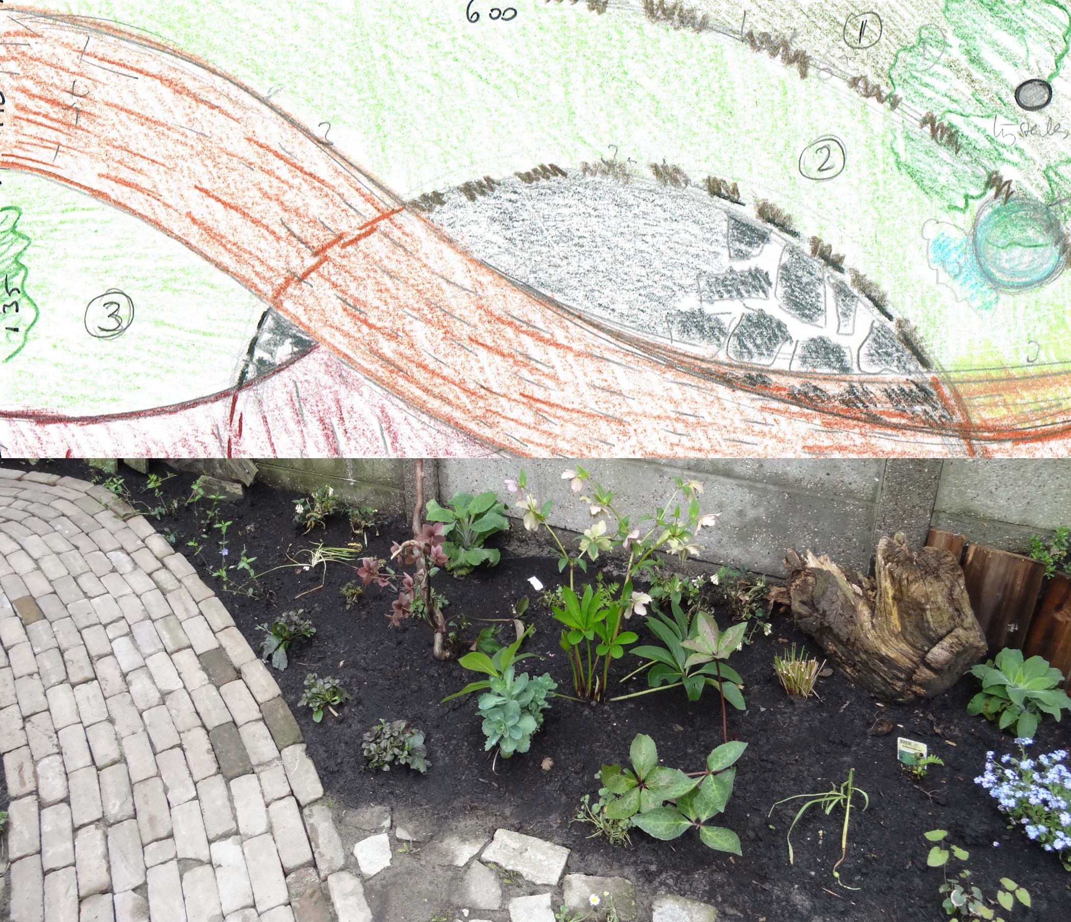 Tuinadvies om wensen concreet te maken