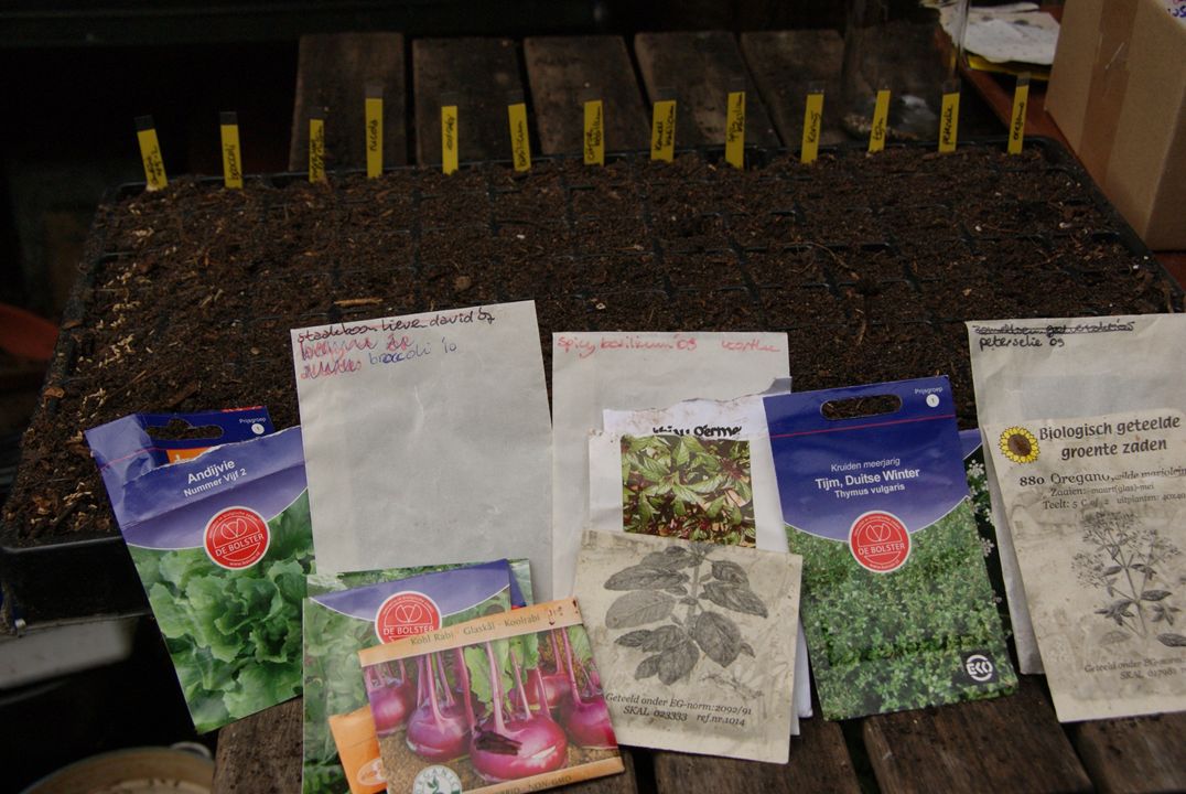 Koop nu ecologisch zaad met korting