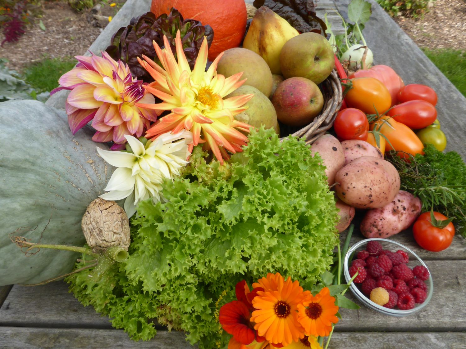 Voorjaarscursussen 2015