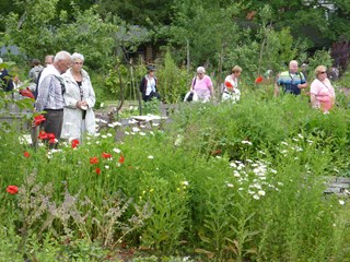 Ecotuindagen Naturentuin 2104-5