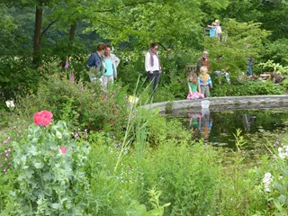 Ecotuindagen Naturentuin 2104-6