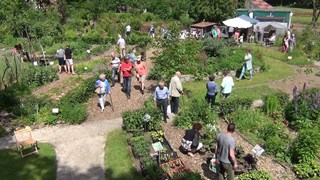 Ecotuindagen Naturentuin 2015-1