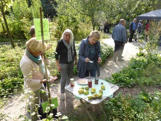 Open nazomerdag 2015-09