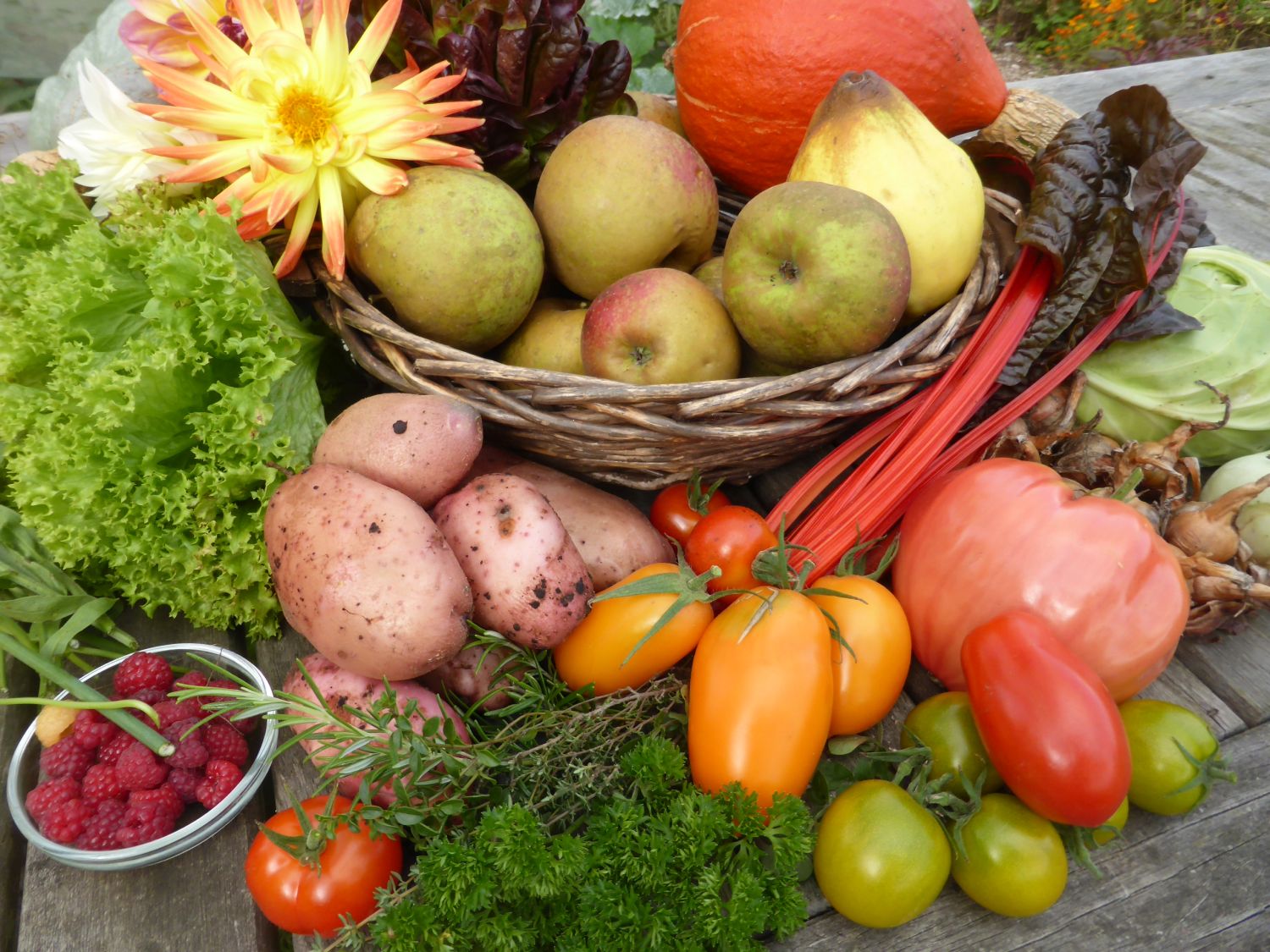 Basiscursus Ecologisch moestuinieren
