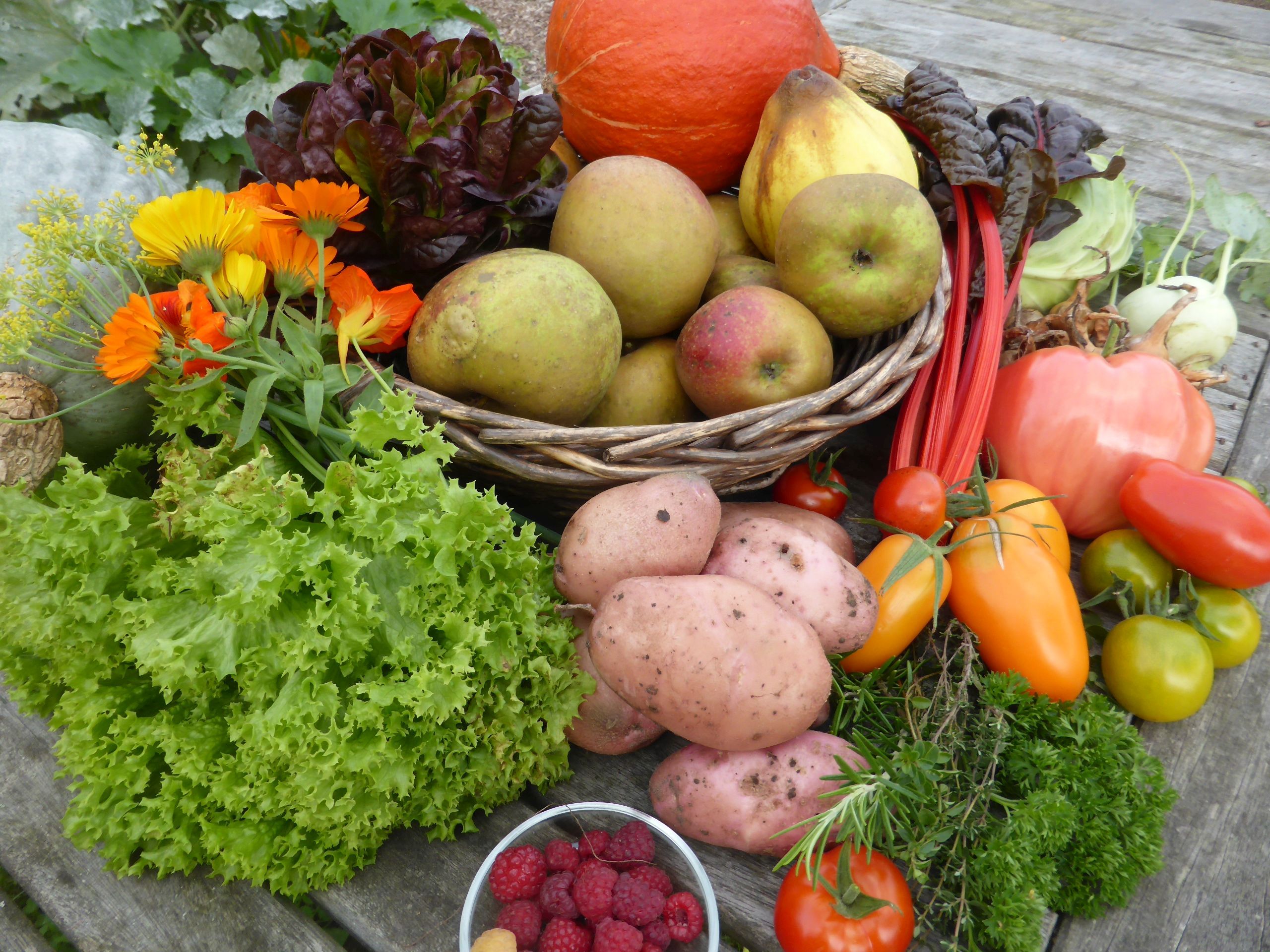 Cursussen Ecologisch moestuinieren