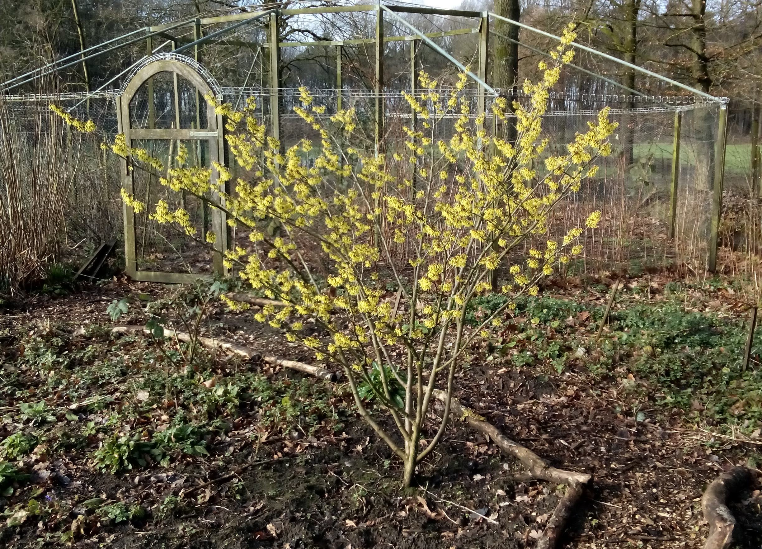 Voorjaar in de Naturentuin