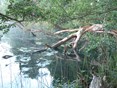Wandelvaarttochten 2016 3