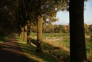 Wandelvaarttochten 2016 4