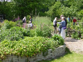 Open tuindagen Naturentuin Goirle 2015-1