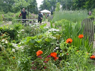 Open tuindagen Naturentuin Goirle 2015-4