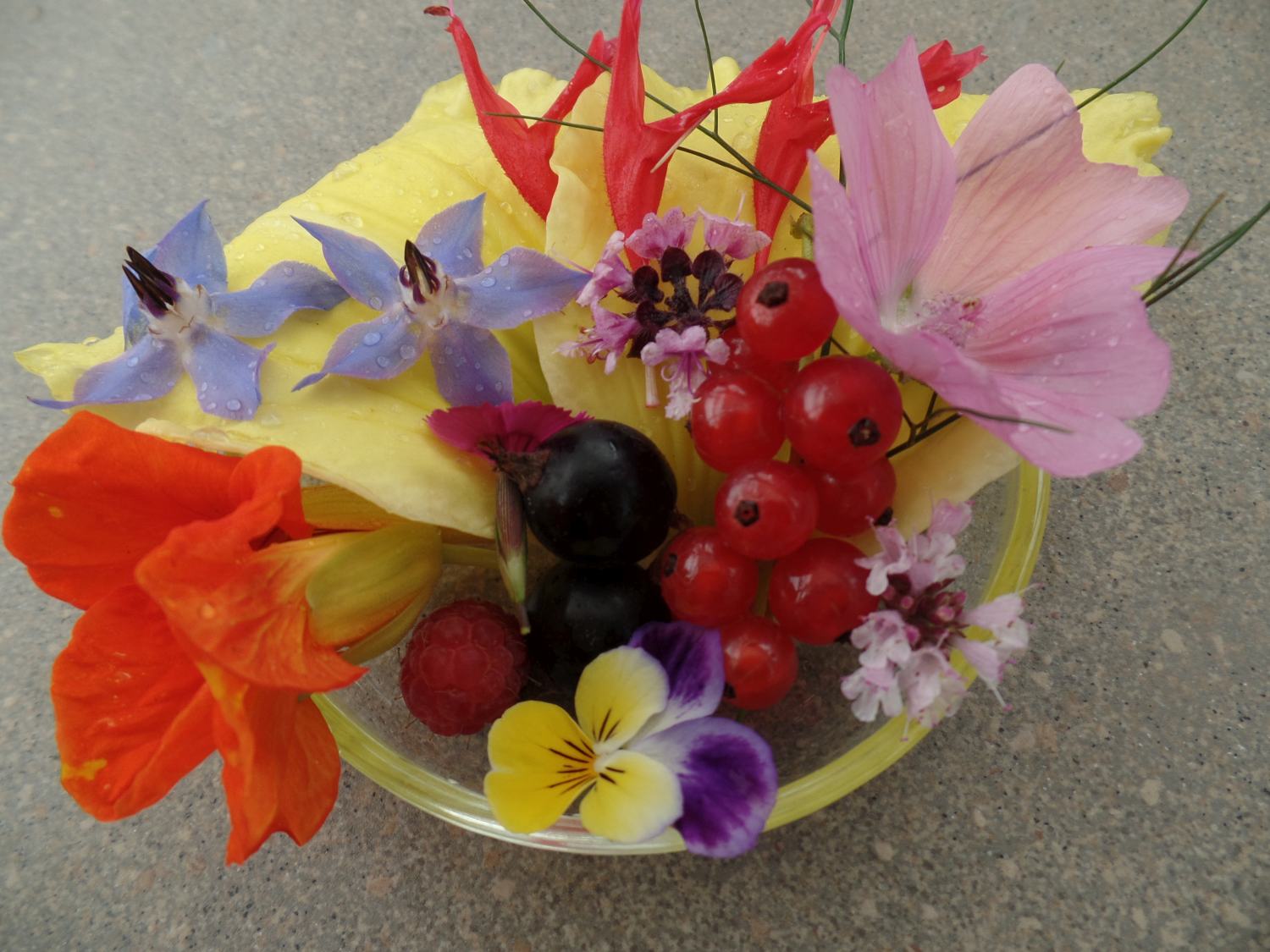 Zomer in de Naturentuin