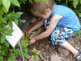 Kinderspeurtochten Naturentuin 2016-3