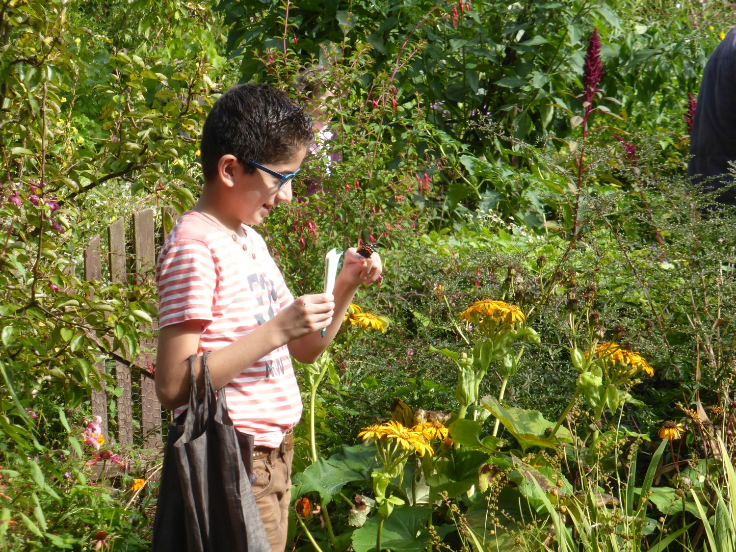 Open nazomerdag op zondag 25 september