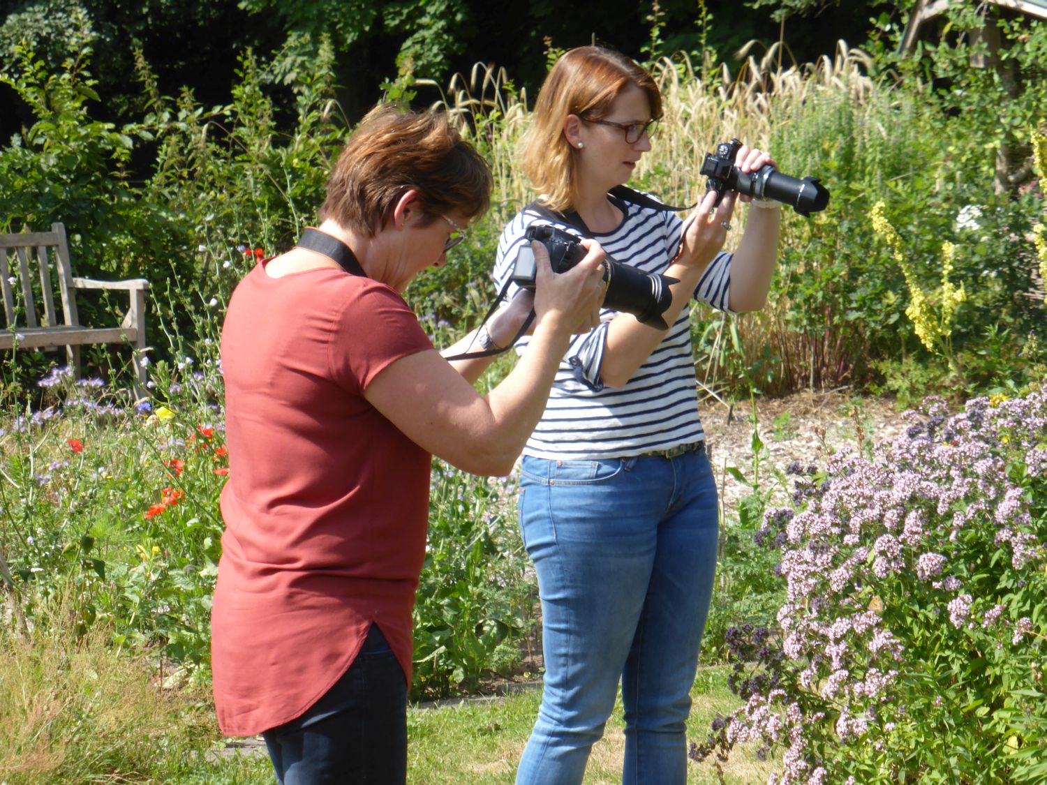 Zingen, fotografie en natuurworkshop