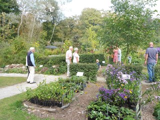 Naturentuin Nazomerdag sept 2016 (02)