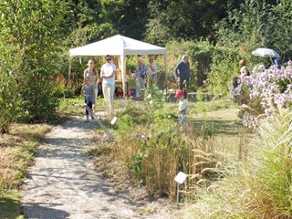 Naturentuin Nazomerdag sept 2016 (03)