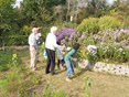 Naturentuin Nazomerdag sept 2016 (04)