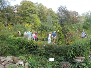 Naturentuin Nazomerdag sept 2016 (08)