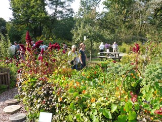 Naturentuin Nazomerdag sept 2016 (10)