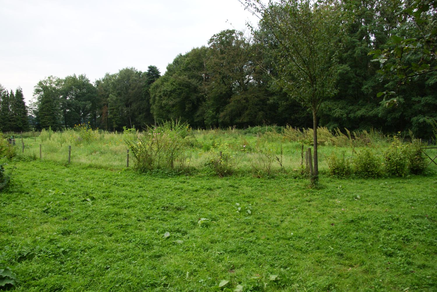 Vijf jaar Naturentuin