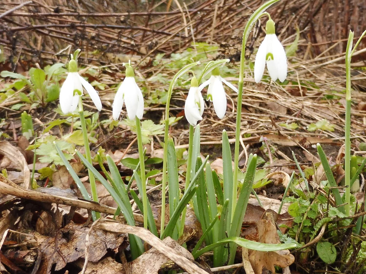 We zijn weer open...