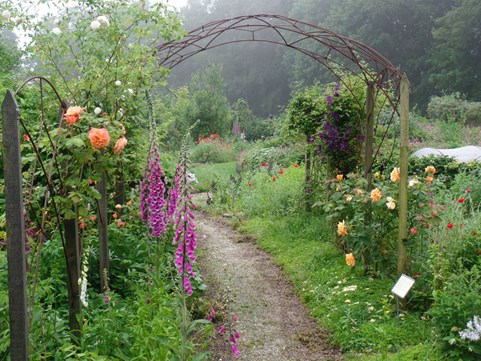 ecologische voorjaarstuin