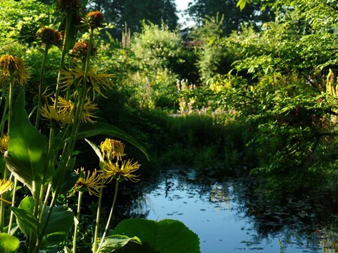 ecologische zomertuin